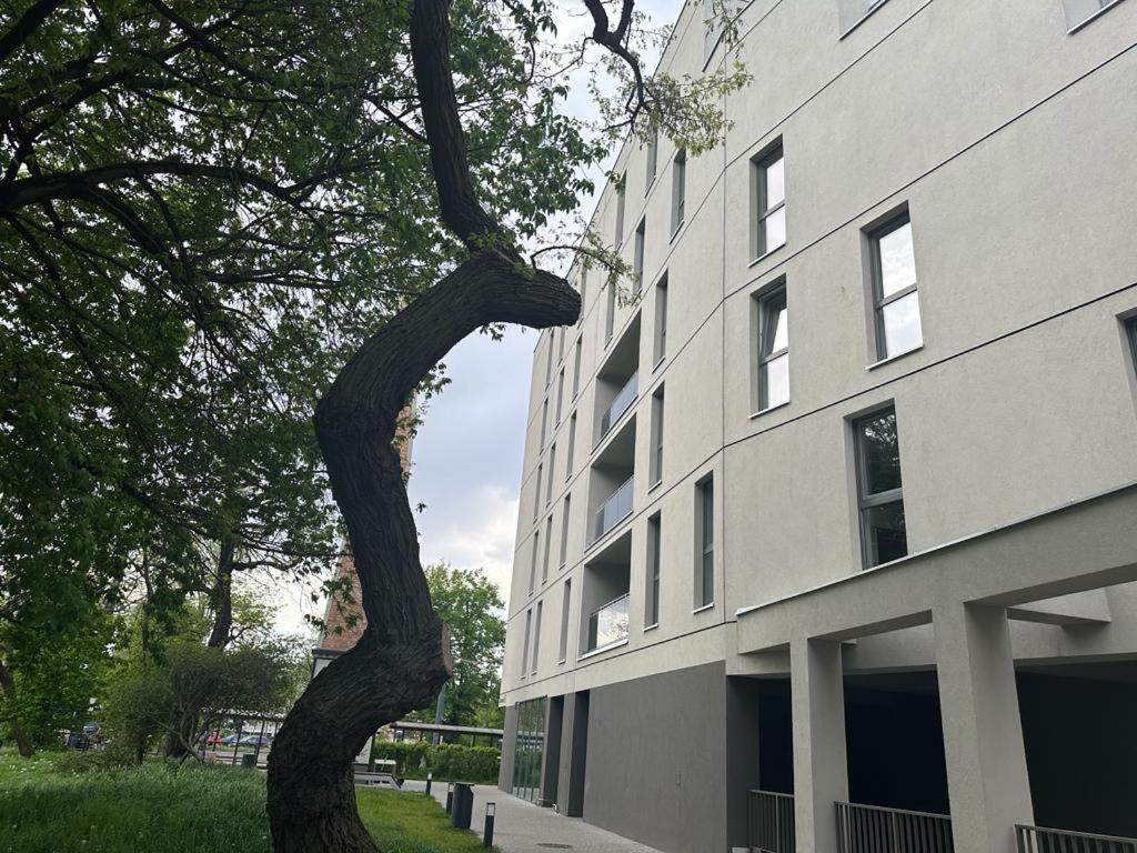 Apartament Centrum II بيدغوستيا المظهر الخارجي الصورة
